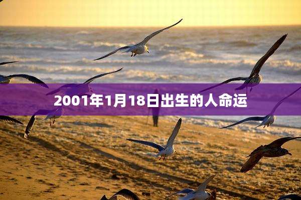 2001年1月18日出生的人命运