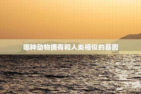 哪种动物拥有和人类相似的基因