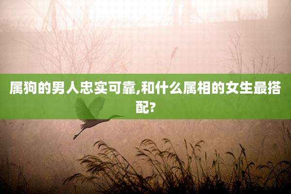 属狗的男人忠实可靠,和什么属相的女生最搭配?