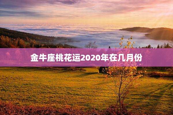 金牛座桃花运2020年在几月份