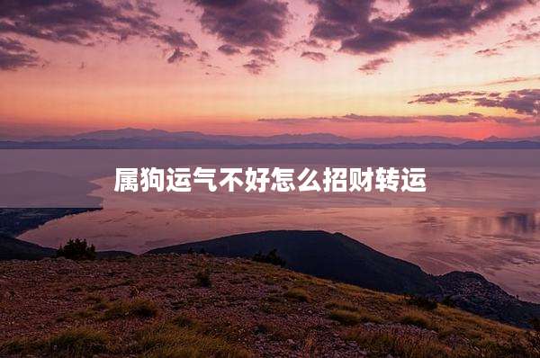 属狗运气不好怎么招财转运