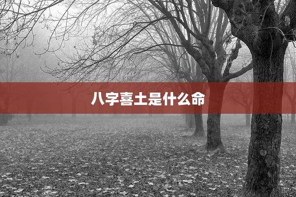 八字喜土是什么命