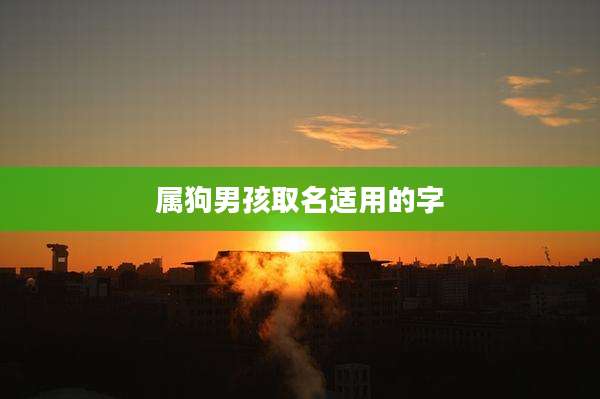 属狗男孩取名适用的字