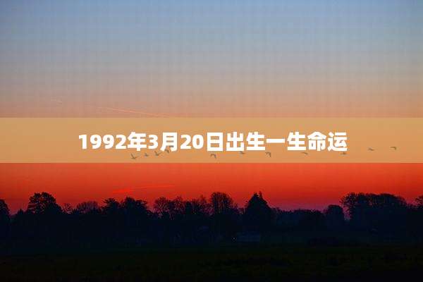 1992年3月20日出生一生命运