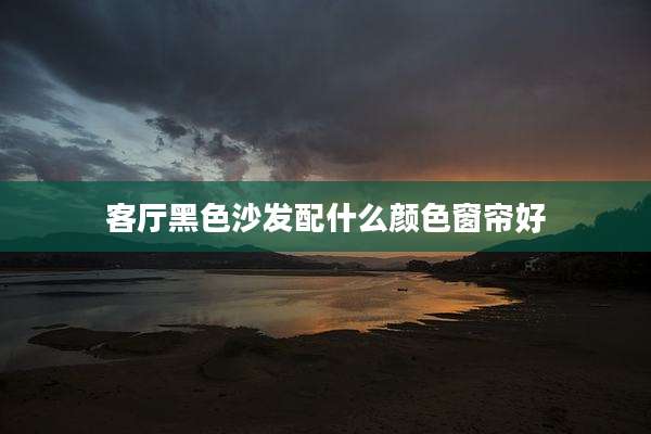 客厅黑色沙发配什么颜色窗帘好