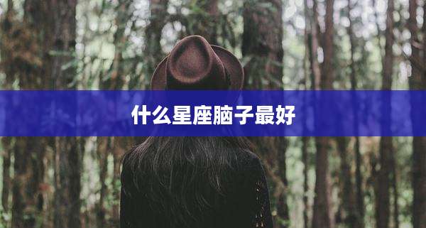 什么星座脑子最好