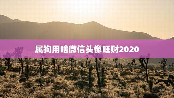 属狗用啥微信头像旺财2020