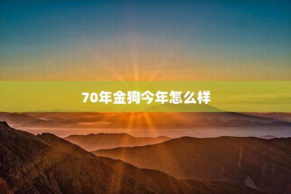 70年金狗今年怎么样