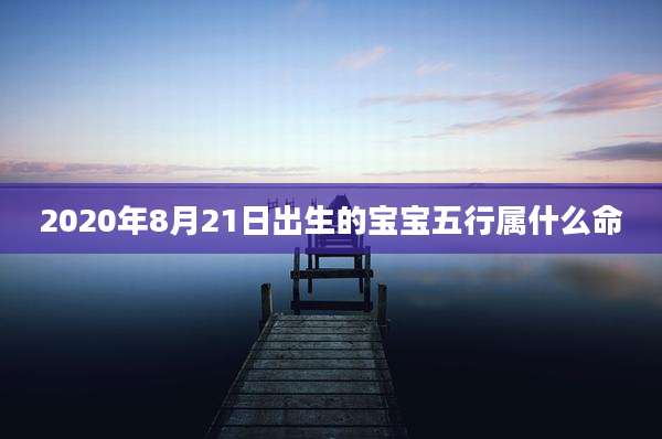2020年8月21日出生的宝宝五行属什么命