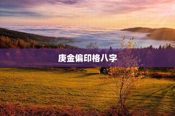 庚金偏印格八字