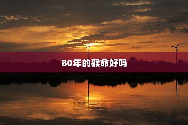 80年的猴命好吗