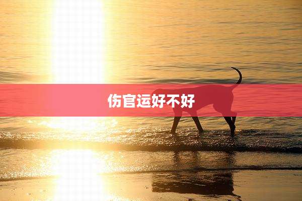 伤官运好不好