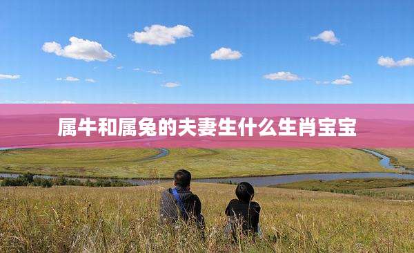 属牛和属兔的夫妻生什么生肖宝宝