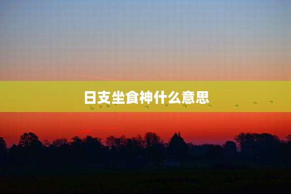 日支坐食神什么意思