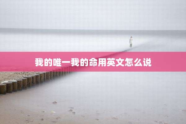我的唯一我的命用英文怎么说