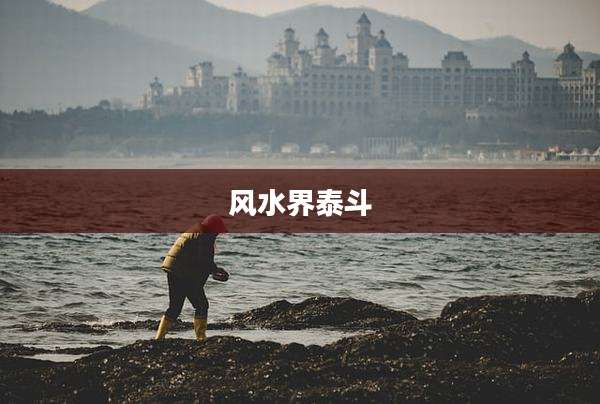 风水界泰斗