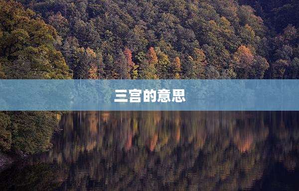 三宫的意思
