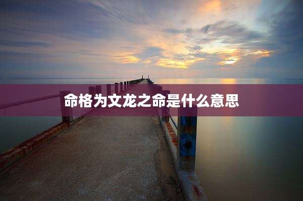 命格为文龙之命是什么意思