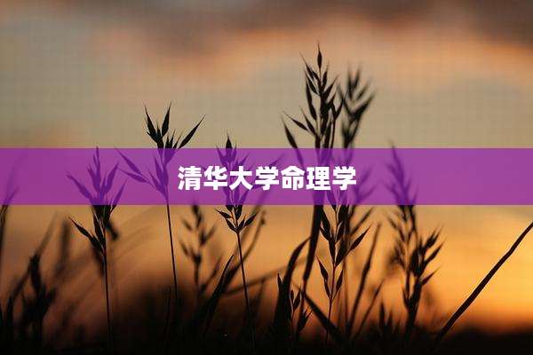 清华大学命理学