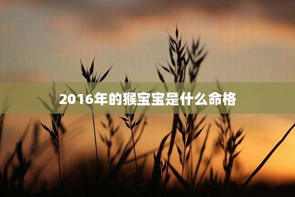 2016年的猴宝宝是什么命格