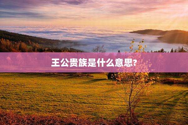 王公贵族是什么意思?
