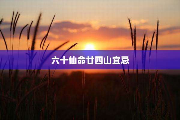 六十仙命廿四山宜忌