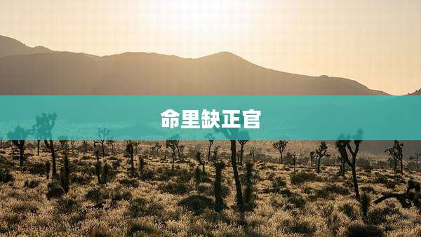 命里缺正官