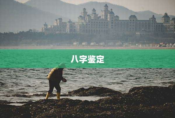 八字鉴定