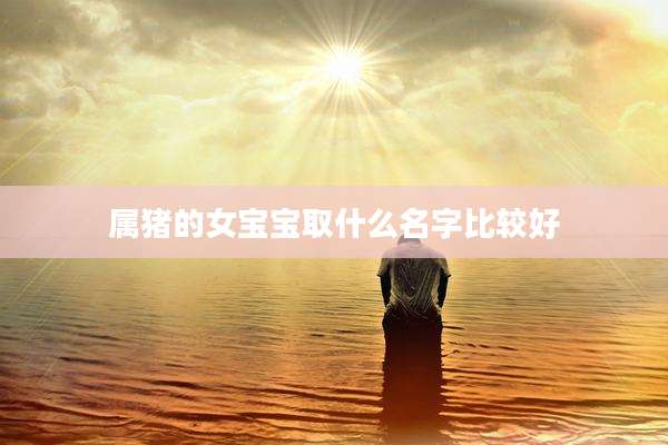 属猪的女宝宝取什么名字比较好