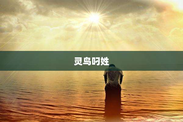 灵鸟叼姓