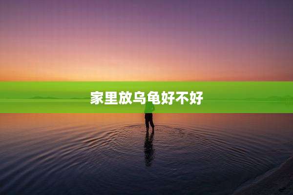 家里放乌龟好不好