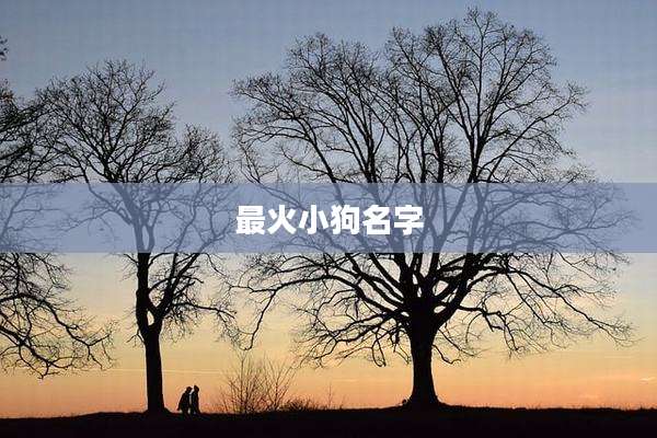 最火小狗名字