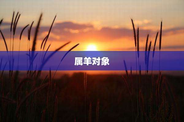 属羊对象