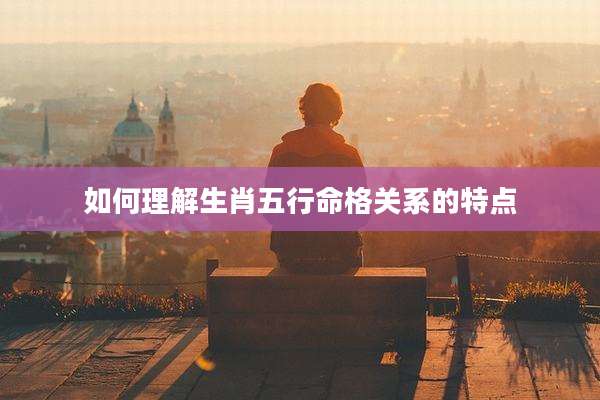 如何理解生肖五行命格关系的特点