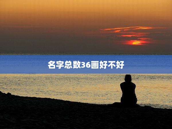 名字总数36画好不好