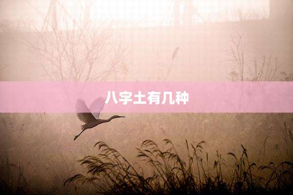 八字土有几种