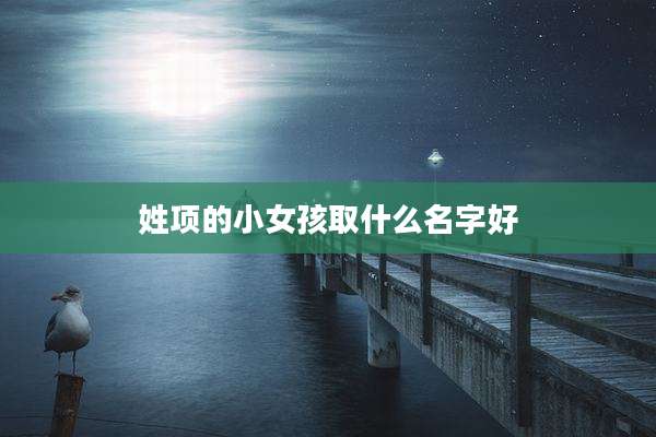 姓项的小女孩取什么名字好