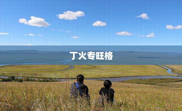 丁火专旺格