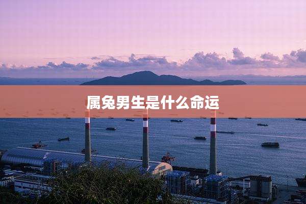 属兔男生是什么命运