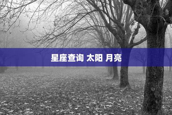 星座查询 太阳 月亮