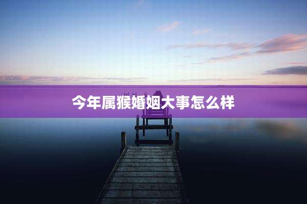 今年属猴婚姻大事怎么样