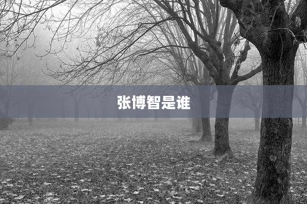 张博智是谁