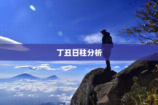 丁丑日柱分析