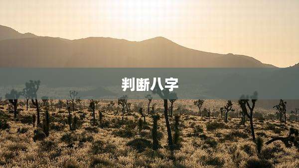 判断八字
