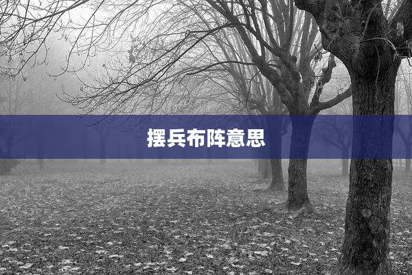 摆兵布阵意思