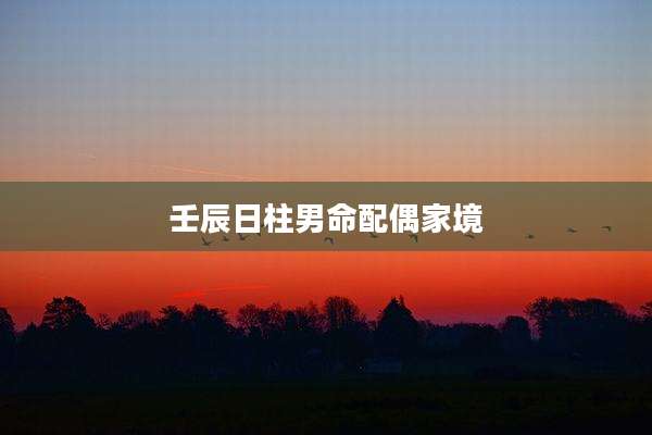 壬辰日柱男命配偶家境