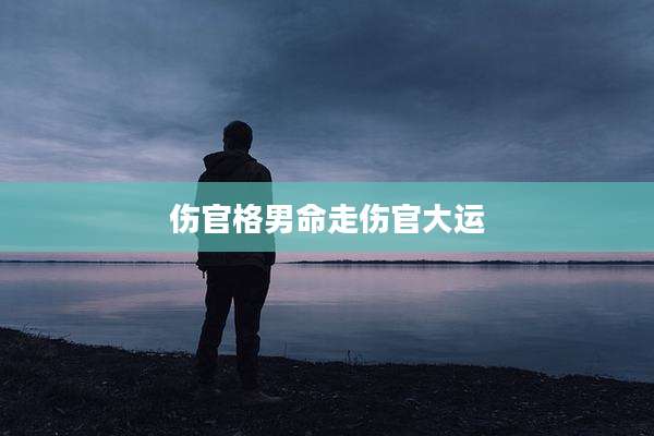 伤官格男命走伤官大运