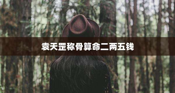 袁天罡称骨算命二两五钱