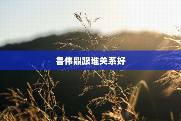 鲁伟鼎跟谁关系好