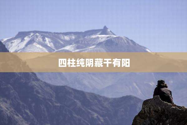 四柱纯阴藏干有阳